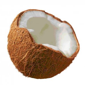 Come si apre un cocco senza attrezzi?