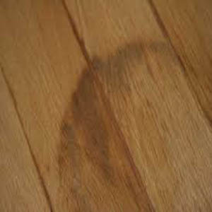 Come smacchiare il parquet arrangiamoci Come lucidare il parquet rovinato