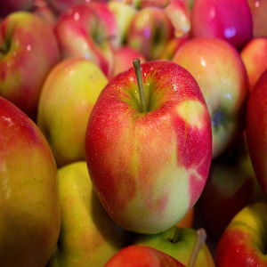 come fare l aceto di mele