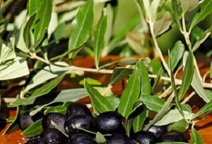 come conservare le olive